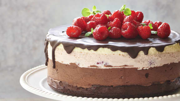 Gâteau aux trois mousses