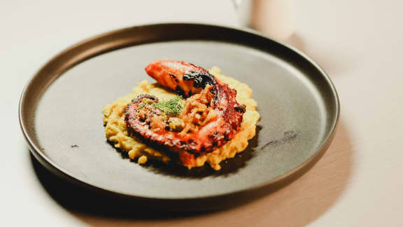 Poulet mole sur riz au jasmin
