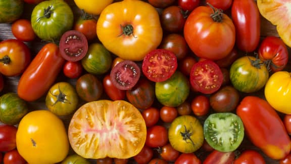 Tomate du Québec : voici tout ce qu'il y a à savoir