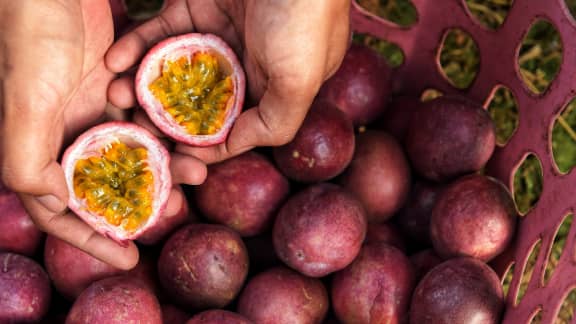 9 fruits bons à consommer pour obtenir plus de protéines
