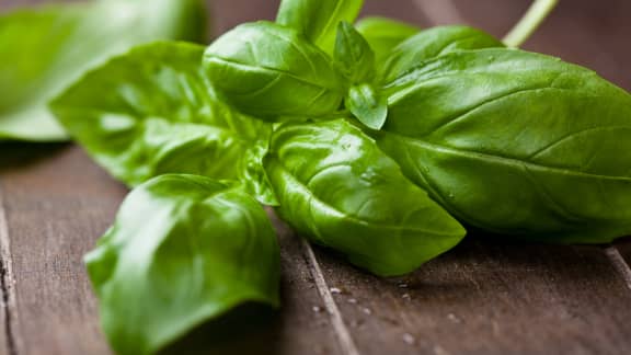Comment conserver du basilic