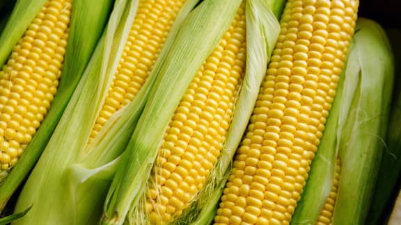 Cet outil de cuisine à moins de 10$ est un must pour votre prochaine épluchette de blé d'Inde