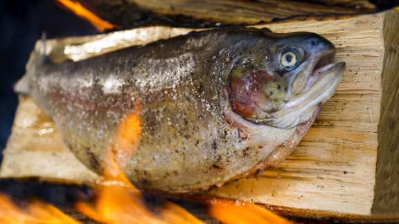 Truite canadienne grillée sur bûche