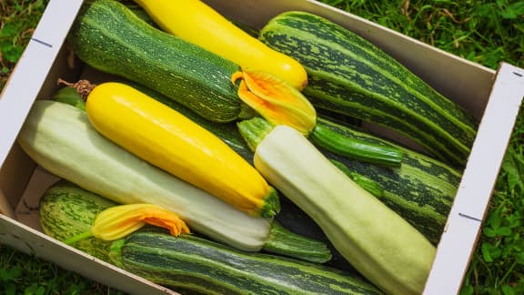 Les rabais de la semaine du 3 au 9 août en épicerie