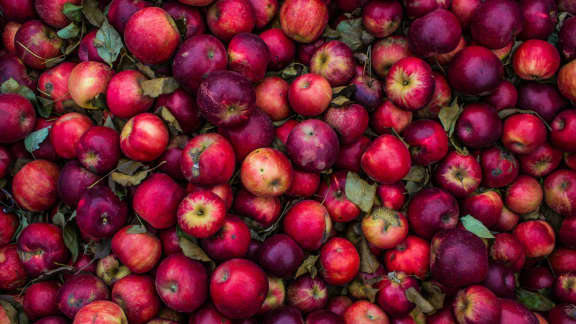 Comment réutiliser vos retailles de fruits ?