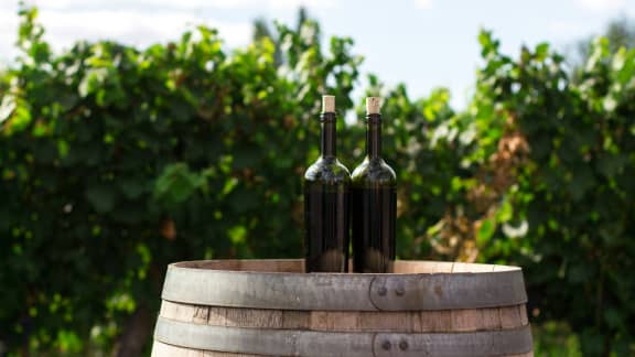7 vins rouges de la Toscane, pour s'agencer parfaitement avec vos recettes à base de tomates