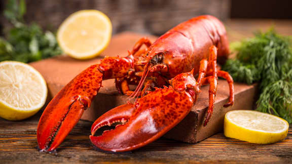 Voici où vous procurer du homard en MÉGA rabais pour la fête des Mères