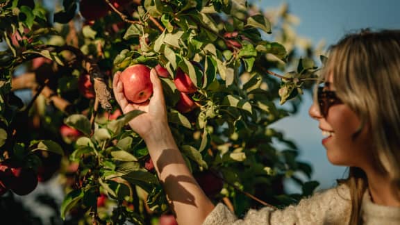 Week-end gourmand : 5 activités pour se régaler!