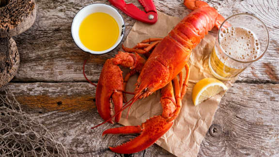 Quel vin choisir avec du homard ? Cette bouteille à moins de 15$ est un choix gagnant