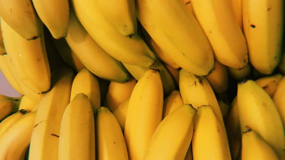 Prenez soin de votre santé intestinale avec ces super-aliments
