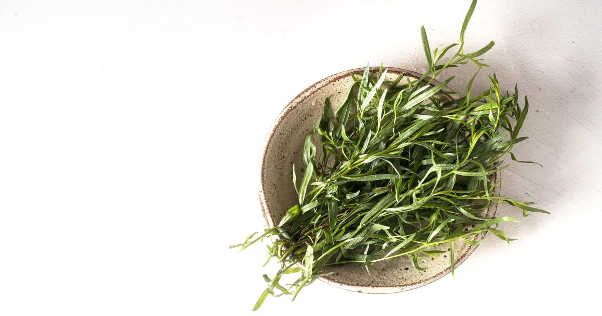 Recettes d'estragon : les meilleures suggestions faciles | Zeste