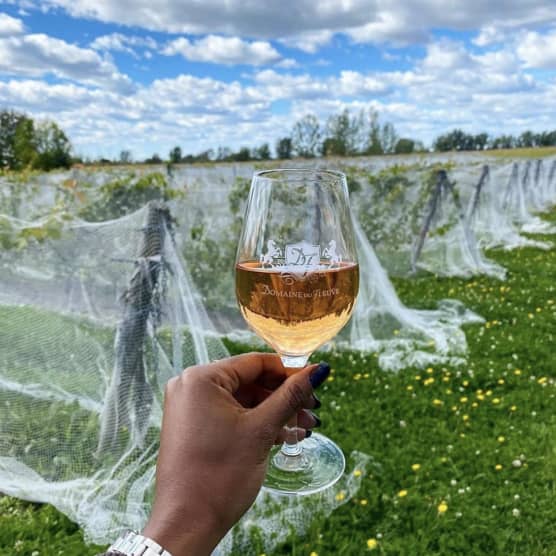 Escapade gourmande : 10 vignobles à découvrir en Montérégie