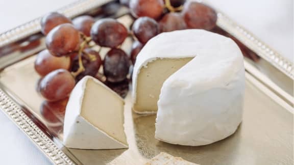 4 fromages véganes testés et approuvés!