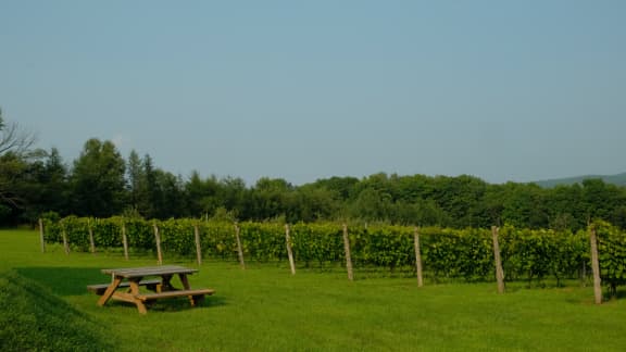 On a testé le vignoble Val Caudalies et voici notre opinion