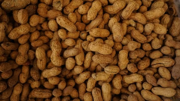 6 aliments qui n’ont pas autant de protéines que vous le croyez !