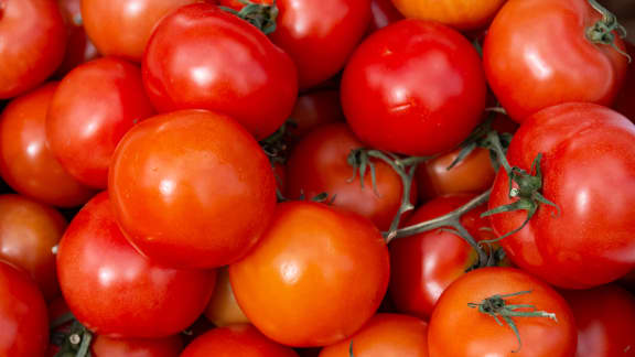 Voici pourquoi vous devez éviter les salades tomates-concombres si vous avez des troubles digestifs