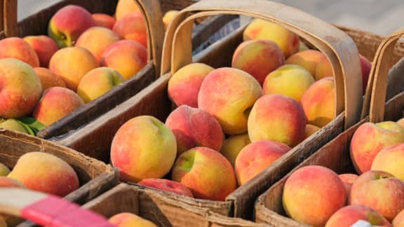 Les rabais de la semaine du 17 au 23 août en épicerie : Retour des pêches de l'Ontario!