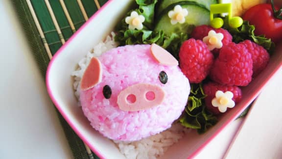 Onigiri cochon mignon au porc et à la framboise
