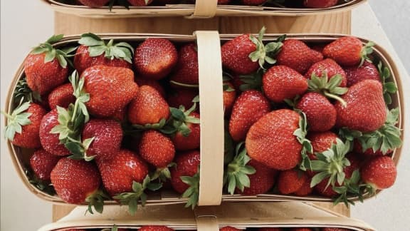 LA technique pour bien conserver les framboises et fraises du Québec