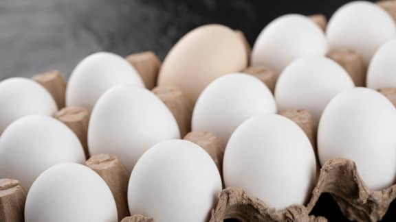 Plusieurs marques d'oeufs rappelés à cause d'une potentielle contamination