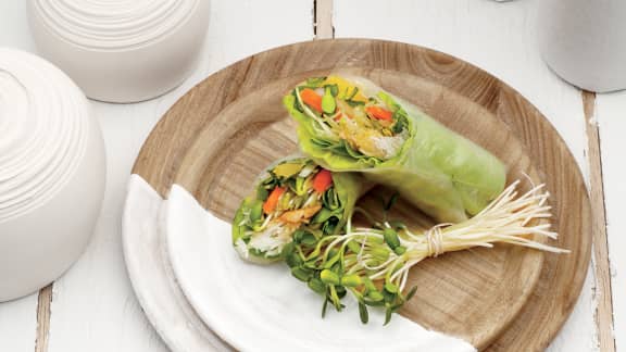 Rouleaux de printemps au poulet, aux pousses de tournesol et à l’orange