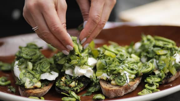Lundi : Toast de burrata avec têtes de violon