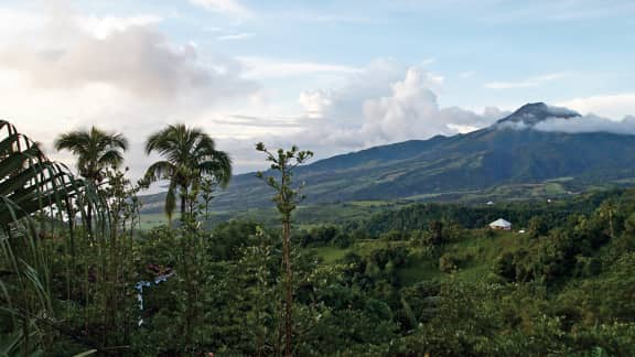 Magie en Martinique : contempler la beauté à son état naturel