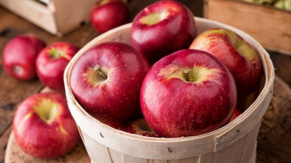 Des pommes, des pommes, des pommes!