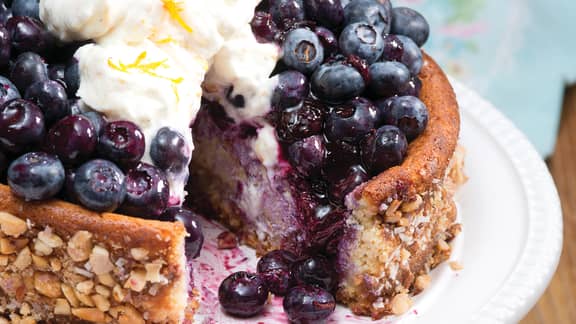 Gâteau au fromage et aux bleuets