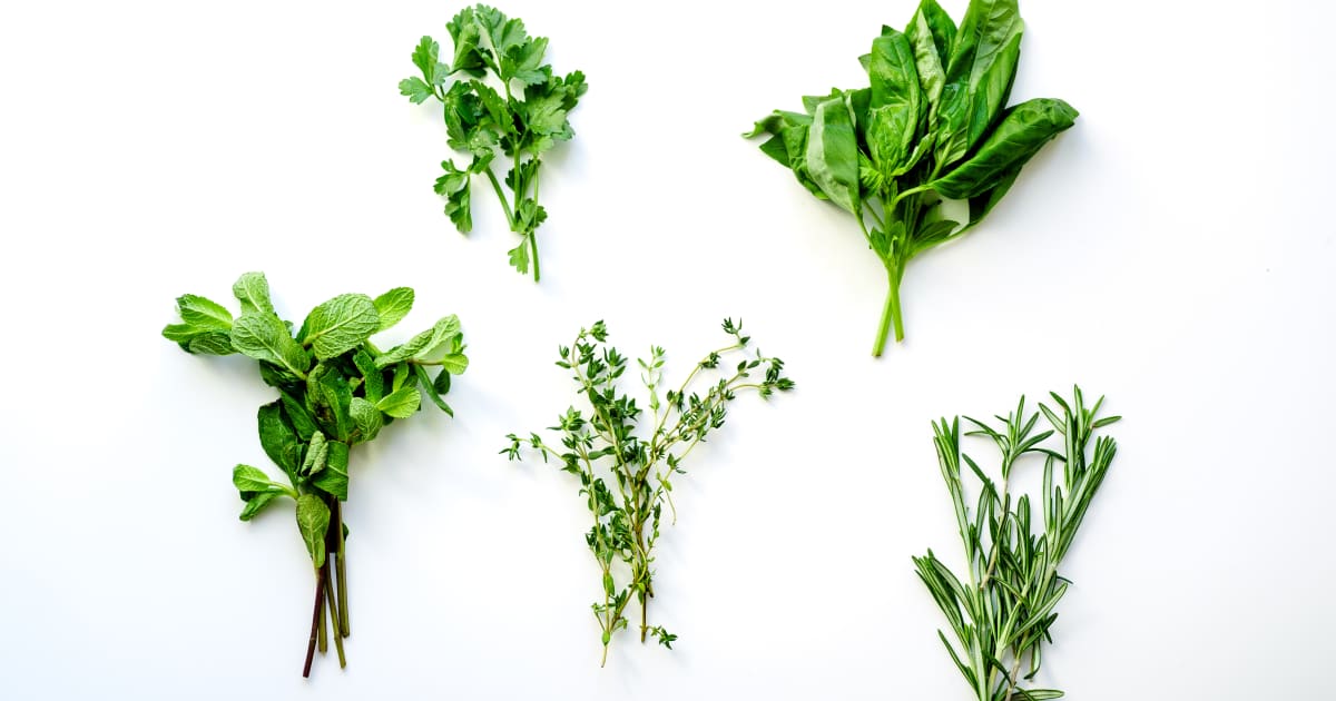 Conserver vos herbes aromatiques