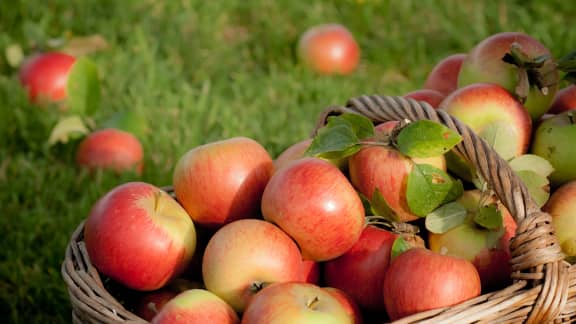 Pourquoi il ne faut pas éplucher ses pommes ?