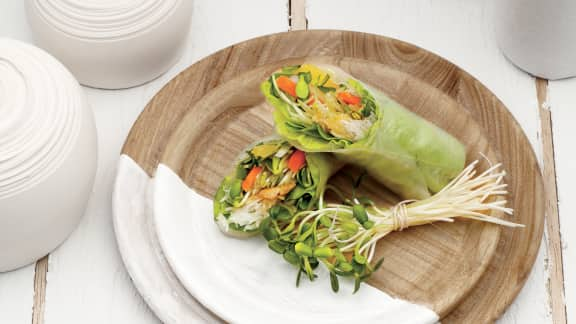 Rouleaux de printemps au poulet, aux pousses de tournesol et à l'orange