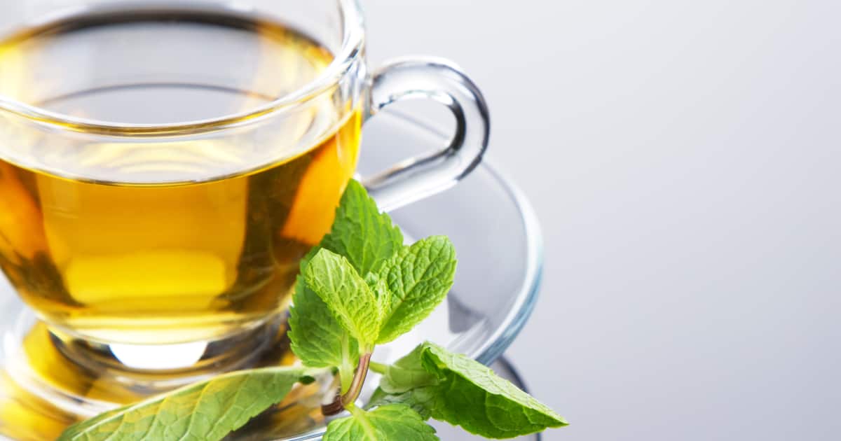 Recette de thé vert à la menthe Zeste