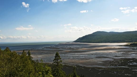 5 bonnes adresses gourmandes à Baie-Saint-Paul