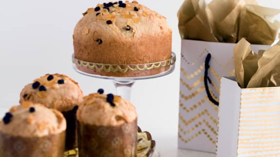 Panettone et Pandoro: les stars des Noël italiens. - Aliments Mag