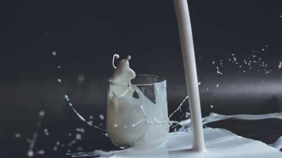 10 utilisations inusitées avec un simple verre de lait