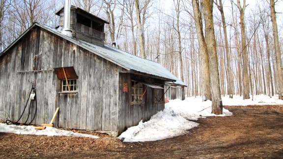 10 cabanes à sucre en Montérégie à découvrir