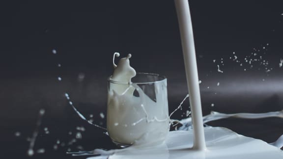 Voici 7 aliments qu’il ne faut jamais manger crus