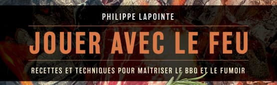 Découvrez le livre Jouer avec le feu