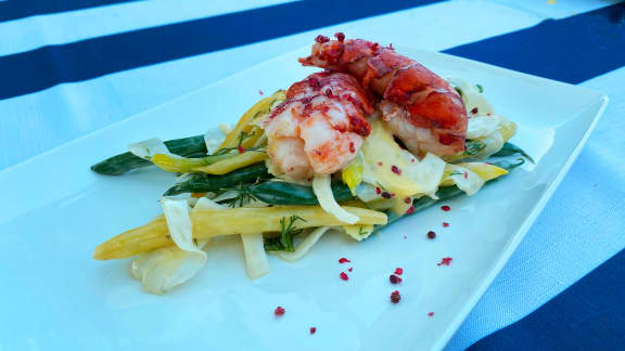 Salade tiède de haricots verts, fenouil et homard, sauce hollandaise