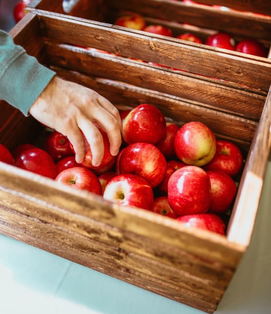 5 activités gourmandes à ne pas manquer pendant la longue fin de semaine