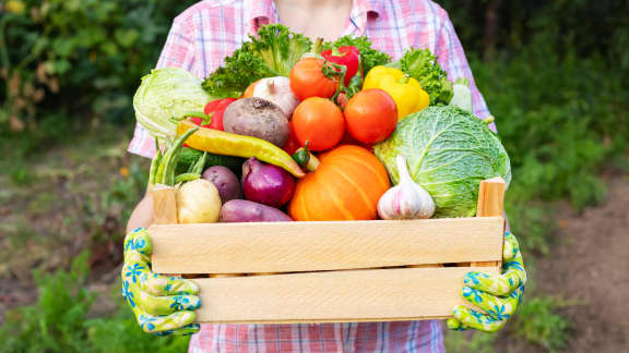 Voici où vous procurer des fruits et légumes moins chers qu'en épicerie