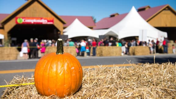 Événements gourmands : Quoi faire en octobre