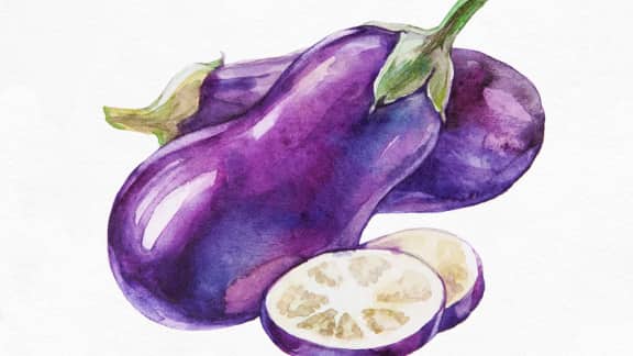L’aubergine en 4 recettes