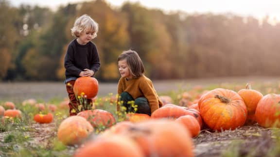 8 endroits où aller cueillir ses propres courges au Québec cet automne