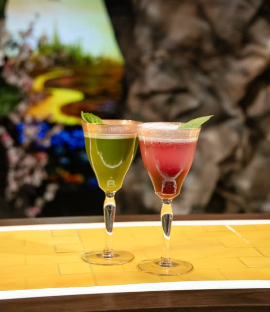 Magie rose/Magie verte de Patrick Groulx, Émily Bégin et Vincent Vallières