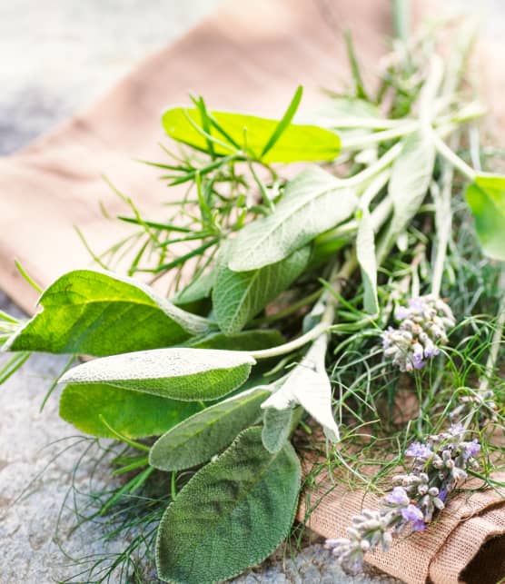 7 fines herbes méconnues à cultiver dans votre potager