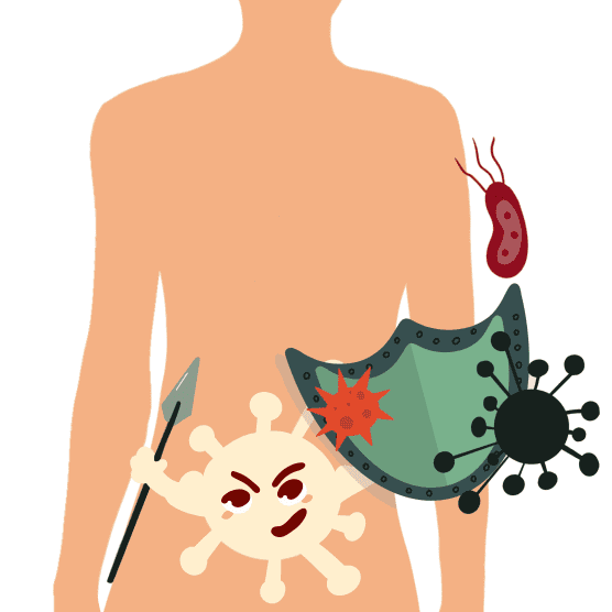 Qu'est-ce que le microbiote?