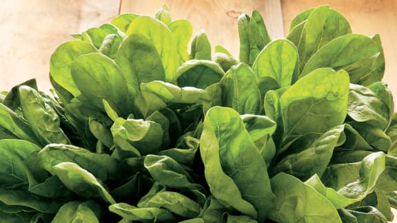 Voici le légume qui pourrait vous aider à lutter contre la fatigue