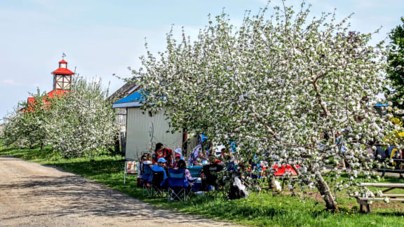 Festival des pommiers en fleurs